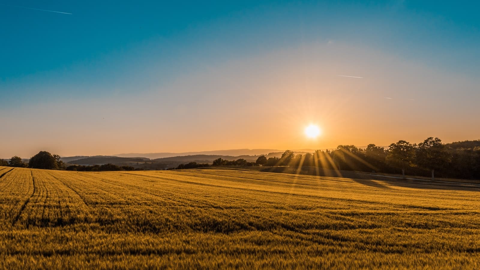 Field to specification